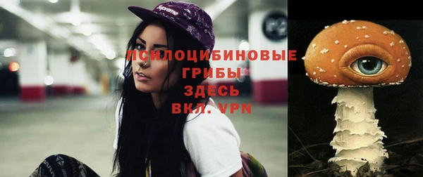 спиды Алексеевка