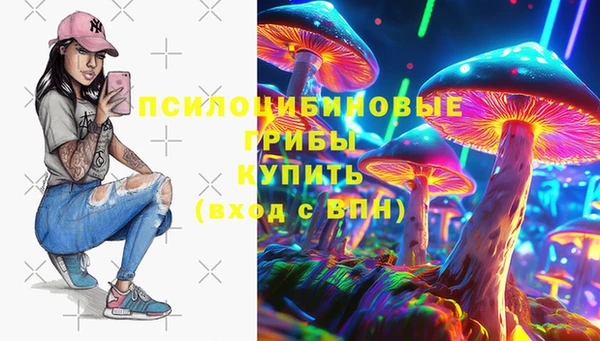 спиды Алексеевка